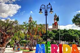 Equipo inmobiliario